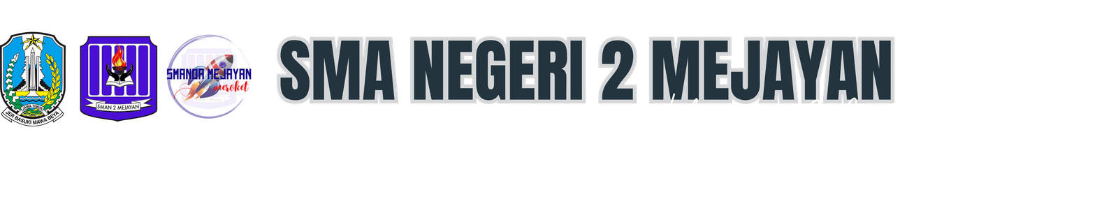 Logo Website